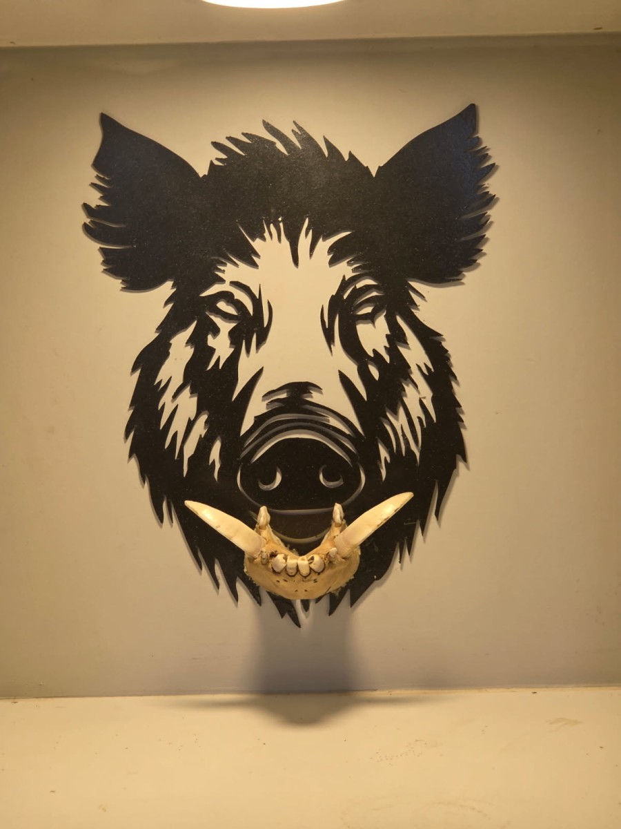Wall Art and Pig Tusk Display